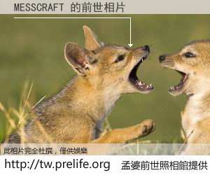 MESSCRAFT 的前世相片