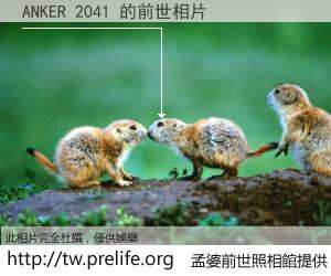 ANKER 2041 的前世相片