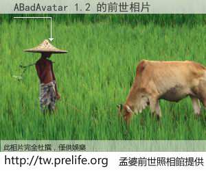 ABadAvatar 1.2 的前世相片