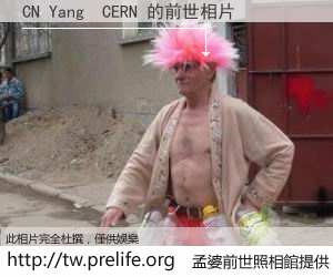 CN Yang  CERN 的前世相片