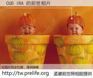 CUD IRA 的前世相片