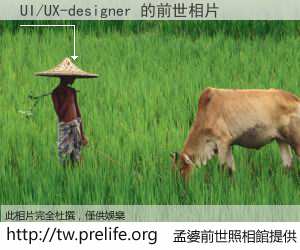 UI/UX-designer 的前世相片