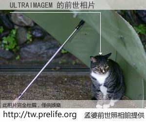 ULTRAIMAGEM 的前世相片