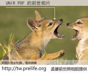 UNIR PDF 的前世相片