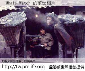 Whale Watch 的前世相片