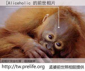 [Aliceholic 的前世相片
