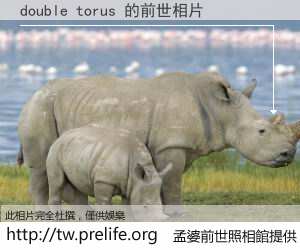 double torus 的前世相片