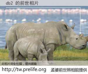 db2 的前世相片