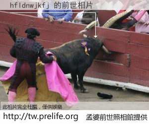 hfldnwjkfj 的前世相片