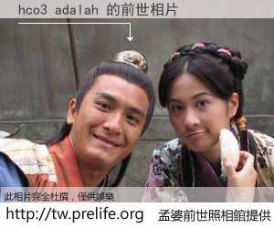 hco3 adalah 的前世相片