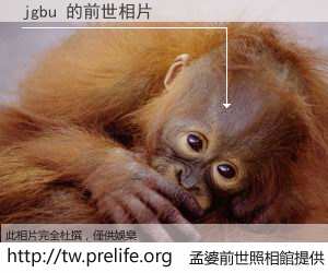jgbu 的前世相片