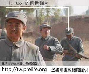 llc tax 的前世相片