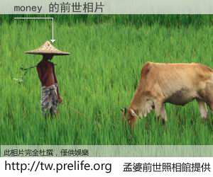 money 的前世相片
