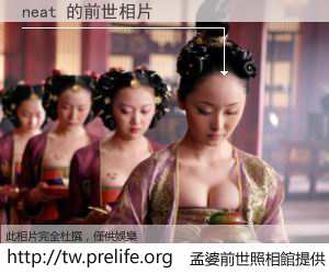 neat 的前世相片