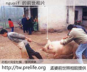 nguoif 的前世相片