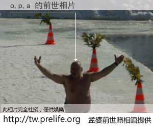 o,p,a 的前世相片
