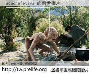 acao efetiva 的前世相片