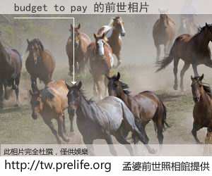 budget to pay 的前世相片