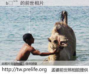 bç~~ 的前世相片