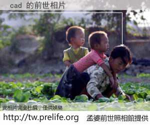 cad 的前世相片