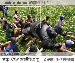cable de se 的前世相片