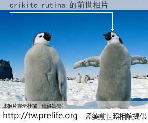 crikito rutina 的前世相片
