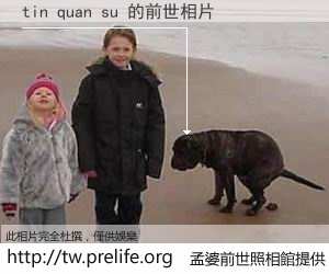 tin quan su 的前世相片