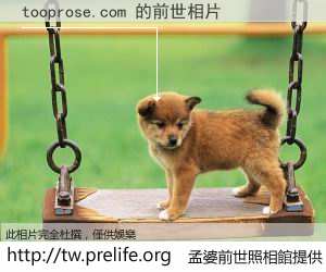 tooprose.com 的前世相片