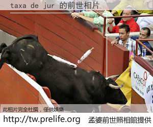 taxa de jur 的前世相片