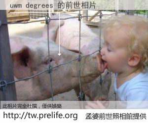 uwm degrees 的前世相片