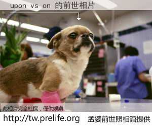 upon vs on 的前世相片