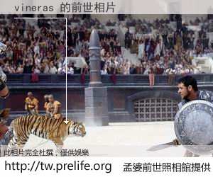 vineras 的前世相片