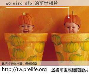 wo wird dfb 的前世相片