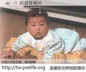 wc -1 的前世相片