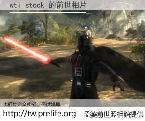 wti stock 的前世相片