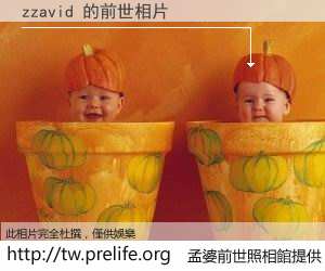 zzavid 的前世相片