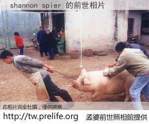 shannon spier 的前世相片