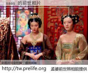 saas 的前世相片