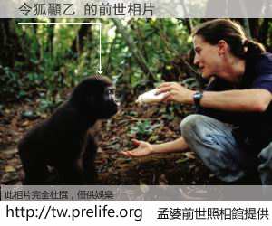 令狐顳乙 的前世相片