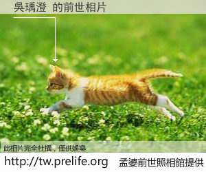 吳瑀澄 的前世相片