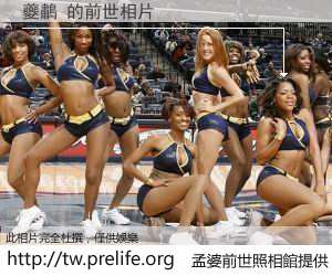 夔鷫 的前世相片