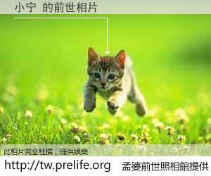 小宁 的前世相片