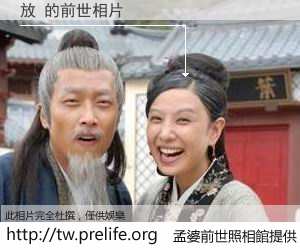 放 的前世相片