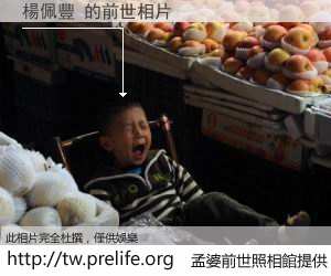 楊佩豐 的前世相片