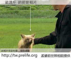 梁譚斤 的前世相片