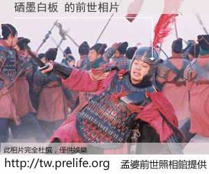 硒墨白板 的前世相片