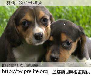 聂俊 的前世相片