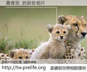 蕭雅筑 的前世相片