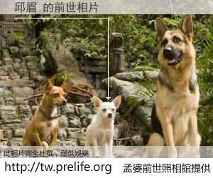 邱眉 的前世相片