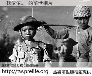 魏依依。 的前世相片